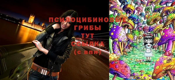 спайс Алзамай