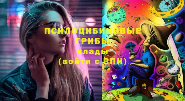 стафф Алексин