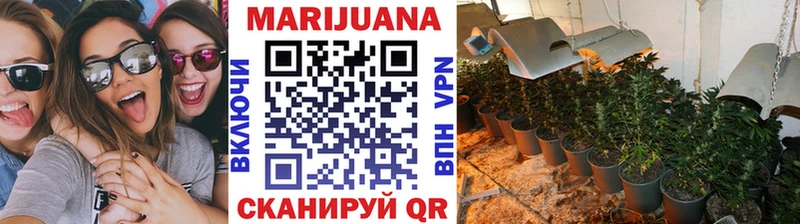 наркошоп  Шацк  кракен ССЫЛКА  Конопля SATIVA & INDICA 